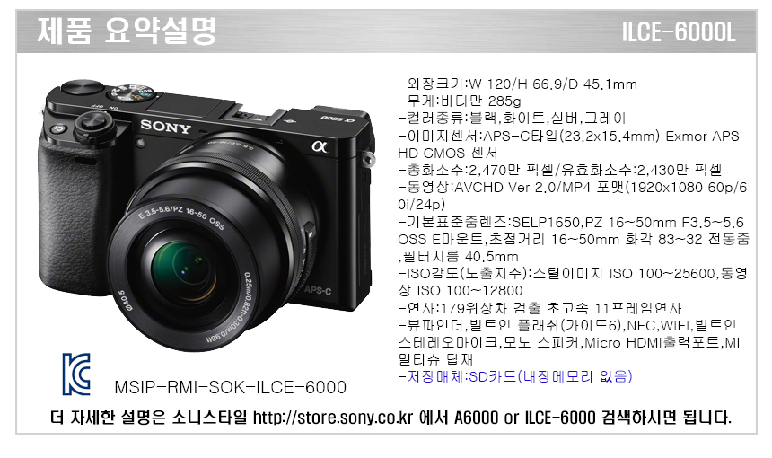 소니 미러리스 카메라 A6000