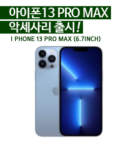아이폰13 PRO MAX (6.7인치)